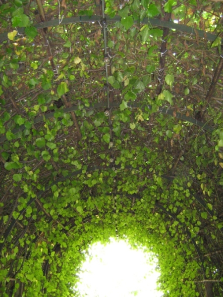 Tunnel of Nature